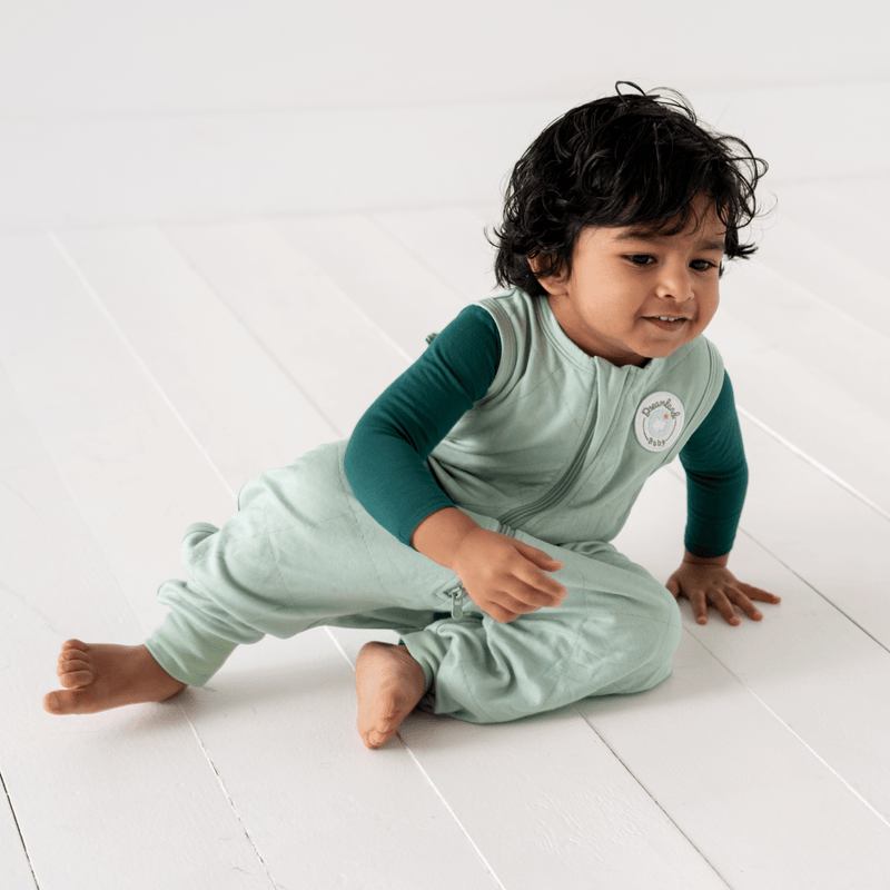 Dreamland Baby - Sleep Sack Walker - Ocean Blue: Ocean Blue / 12 - 24 Months