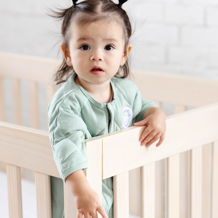 Dreamland Baby - Dream Weighted Transition Swaddle: 6 - 9 Months