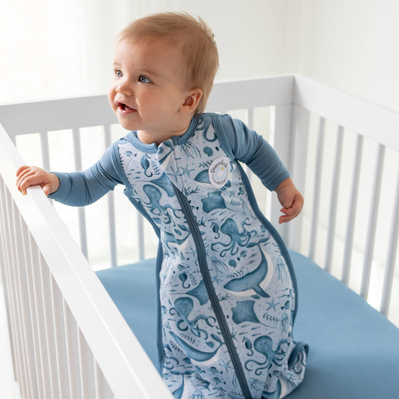 Dreamland Baby - Bamboo Classic Sleep Sack (Non-weighted): Moon Gray / 12 - 24 Months